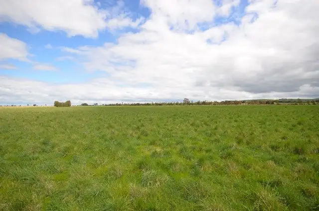 Fourth view of Homely rural property listing, "Baileys" Rd 137, Farrell Flat SA 5416