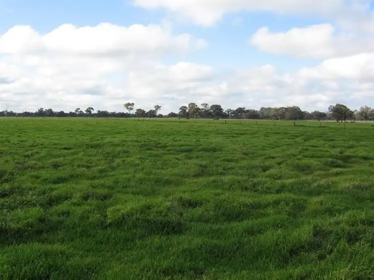 Second view of Homely rural property listing, - Thomas Road, Dingee VIC 3571