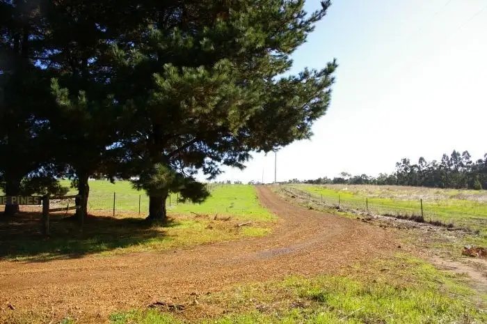 Sixth view of Homely rural property listing, 61 Thomas Road, Nannup WA 6275