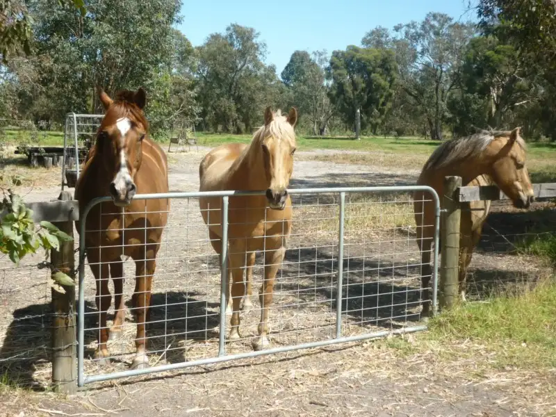 Main view of Homely house listing, 37 Breera Road, Gingin WA 6503