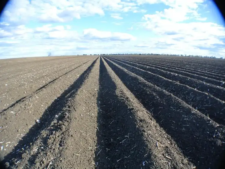 Sixth view of Homely rural property listing, "Glendarra" Narrabri, Narrabri NSW 2390