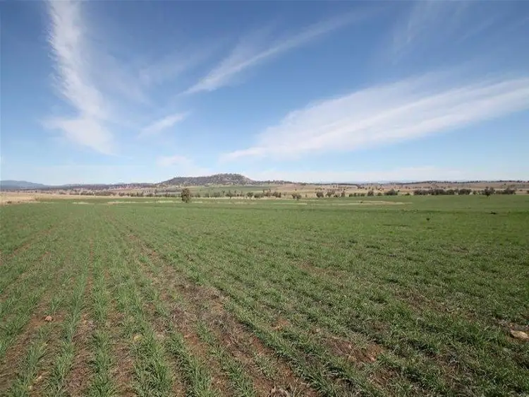 Fourth view of Homely rural property listing, 276 Spains Lane, Quirindi NSW 2343