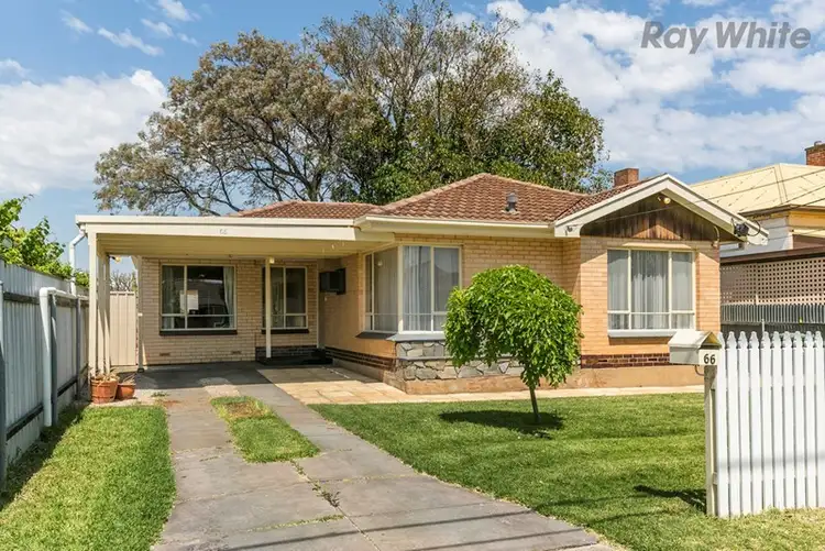 66 Melville Street, South Plympton SA 5038
