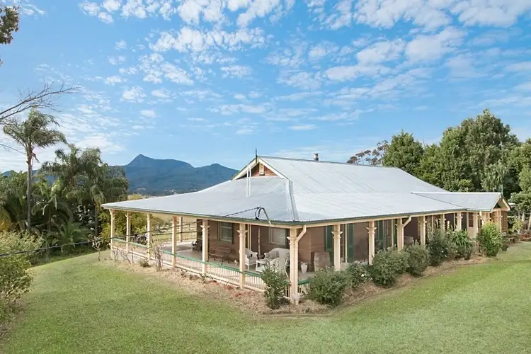 Fourth view of Homely rural property listing, 477 Pinnacle Road, Tyalgum NSW 2484