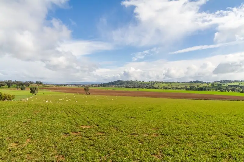 Main view of Homely rural property listing, 263 Camp Road, Cowra NSW 2794