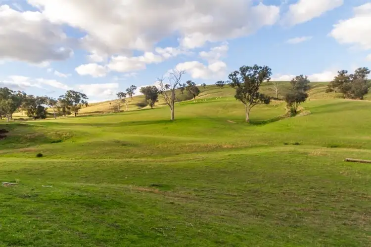 Sixth view of Homely rural property listing, 188 Paytens Lane, Cowra NSW 2794