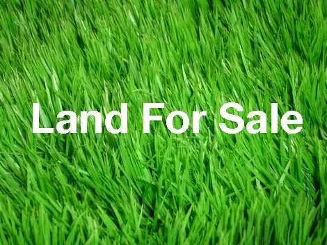 Main view of Homely land listing, 39 Lewis Street, Clayfield QLD 4011