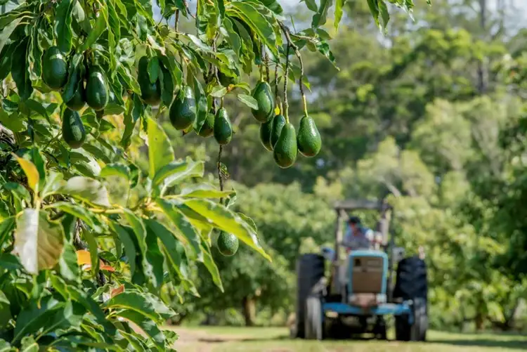 Sixth view of Homely rural property listing, 822 Tagigan Road, Goomboorian QLD 4570