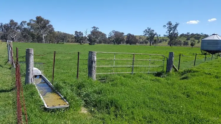Fifth view of Homely rural property listing, 8842 Hume Highway, Gundagai NSW 2722