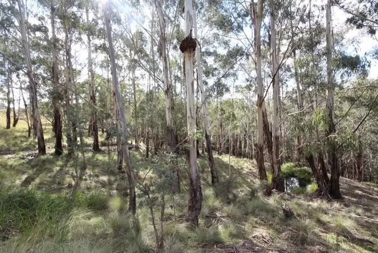 Fourth view of Homely rural property listing, 381 Sheepstation Forest Road, Oberon NSW 2787