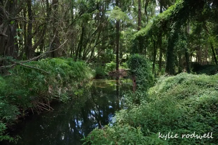 Second view of Homely rural property listing, 279 Camp Creek Road, Running Creek QLD 4287