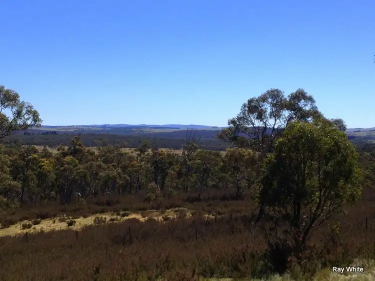 Sixth view of Homely rural property listing, 1015 Bombay Road, Braidwood NSW 2622