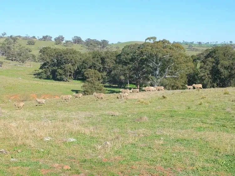 Fifth view of Homely rural property listing, Lot 3 O''Connell Plains Road, O'connell NSW 2795