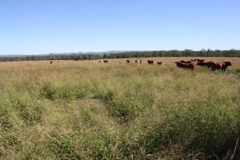 Main view of Homely rural property listing, 148 Lancasters Road, Murgon QLD 4605