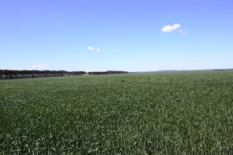 Fifth view of Homely rural property listing, 1000 Woorndoo-Sthreatham Road, Woorndoo VIC 3272