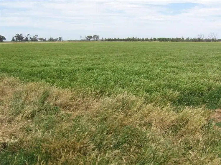 Sixth view of Homely rural property listing, - Thomas Road, Dingee VIC 3571