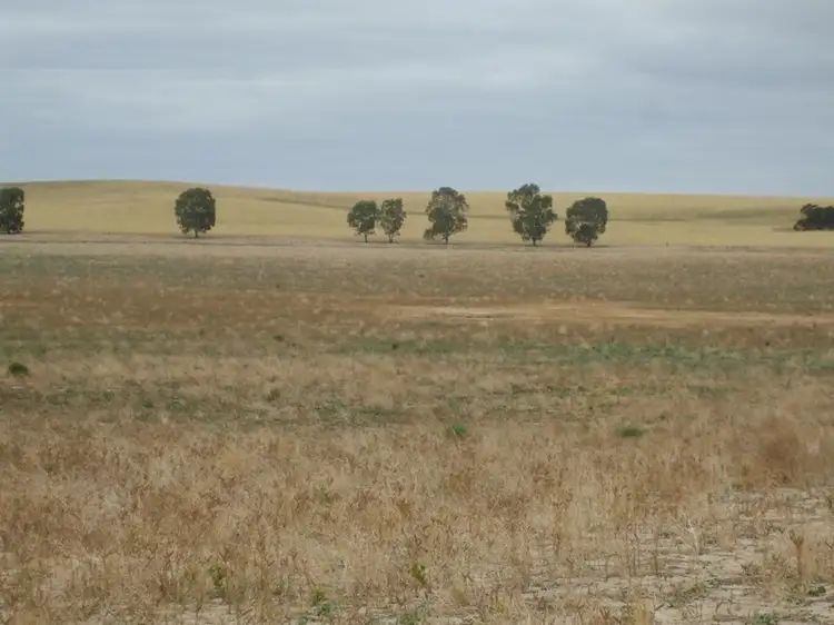 Seventh view of Homely rural property listing, Lot 14 Oaks Road, Parilla SA 5303