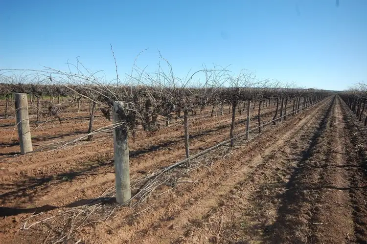 Seventh view of Homely rural property listing, Farm 548B Moseley Road, Bilbul NSW 2680
