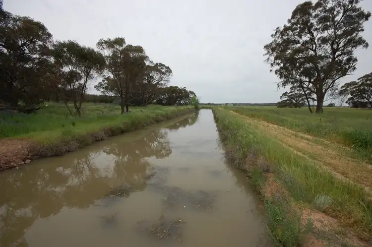 Third view of Homely rural property listing, Farm 1777 Narrandera Road, Cudgel NSW 2700