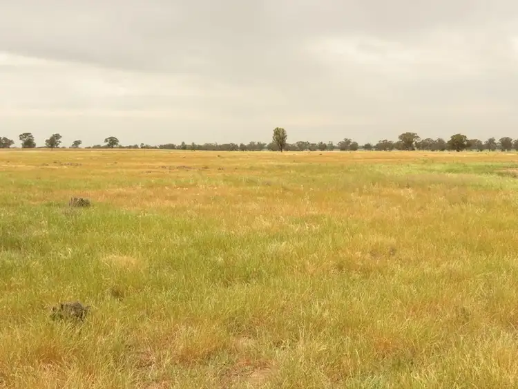 Third view of Homely rural property listing, "Hillview" Goldfields Way, Temora NSW 2666