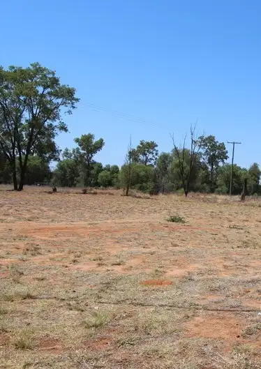 Lot 13 Cypress Street, Charleville QLD 4470