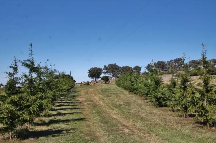 Third view of Homely land listing, 20 Curtis Place, Young NSW 2594
