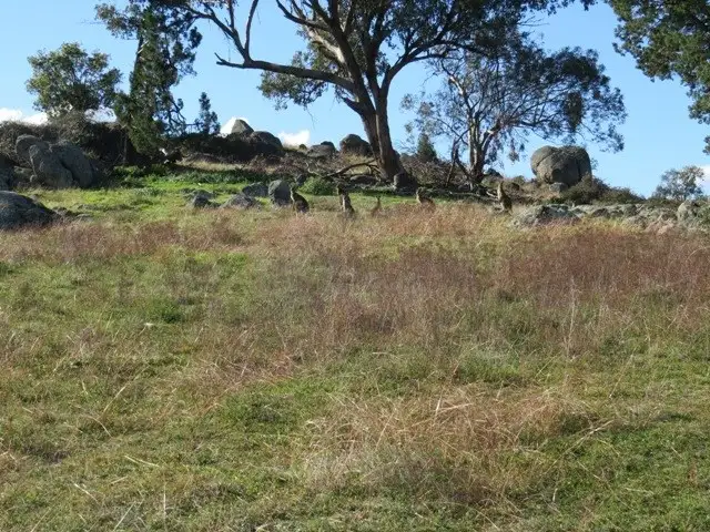 Sixth view of Homely rural property listing, 185 Trout Farm Road, Wyangala NSW 2808