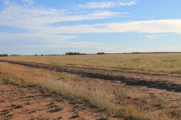 Third view of Homely rural property listing, 24265 Moonie Highway, St George QLD 4487