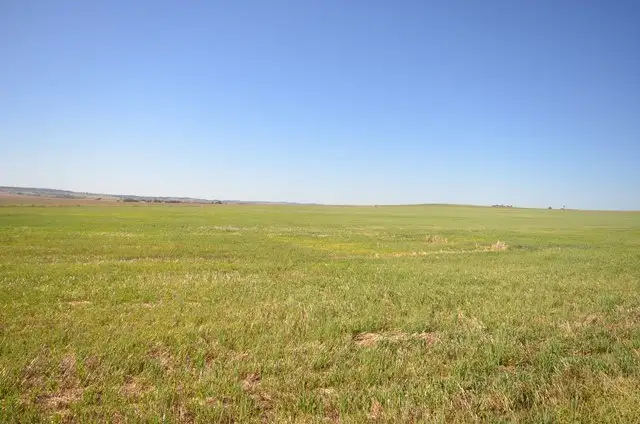 Sixth view of Homely rural property listing, "Hogbens" Sings Road, Manoora SA 5414