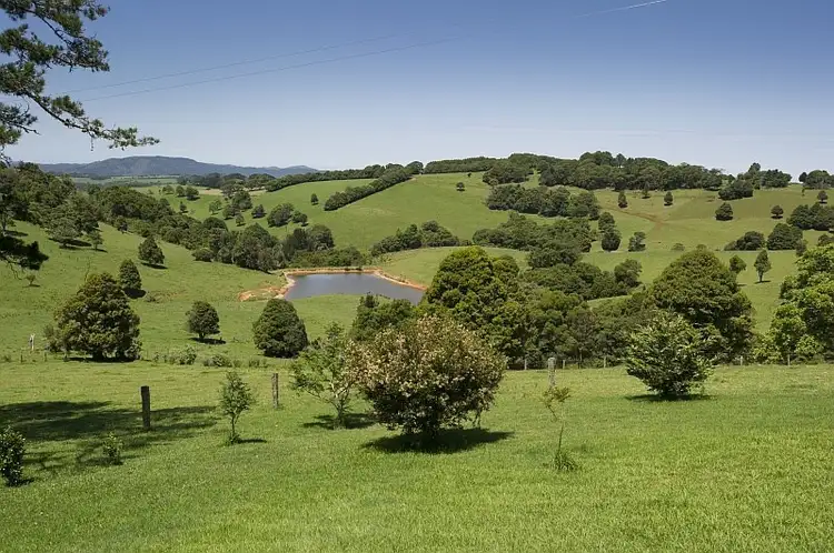 Main view of Homely rural property listing, 4948 Waterfall Way, Dorrigo NSW 2453
