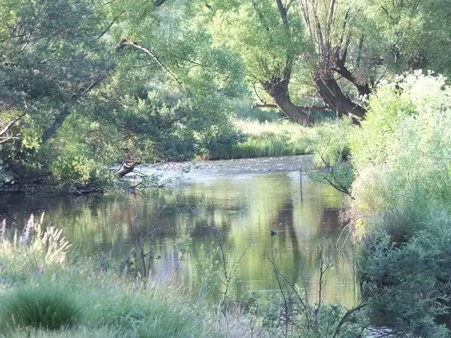 Seventh view of Homely rural property listing, 571 Cuthill Road, Hampton NSW 2790