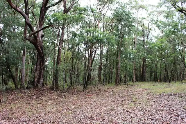 Sixth view of Homely rural property listing, 200 Morton Road, Cedar Creek NSW 2325