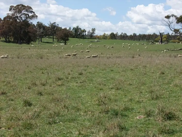 Seventh view of Homely rural property listing, Address available on request