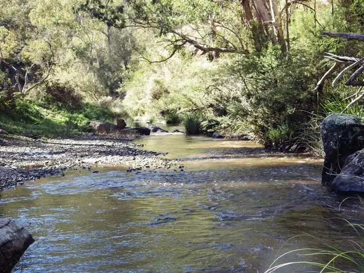 Second view of Homely rural property listing, 302 Cedar Log Road, Dorrigo NSW 2453
