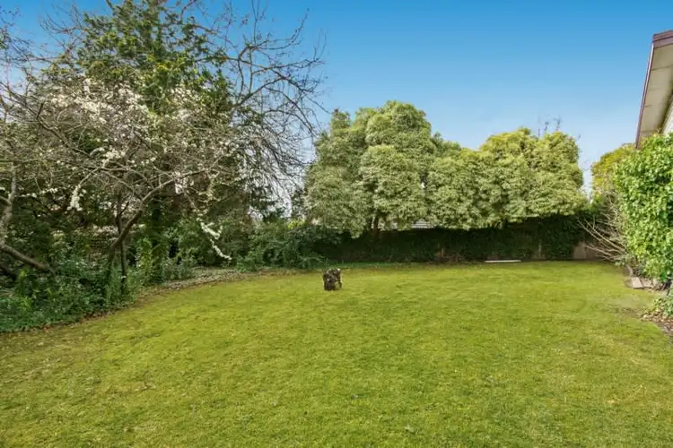 Seventh view of Homely house listing, 16 Burlock Avenue, Ringwood North VIC 3134