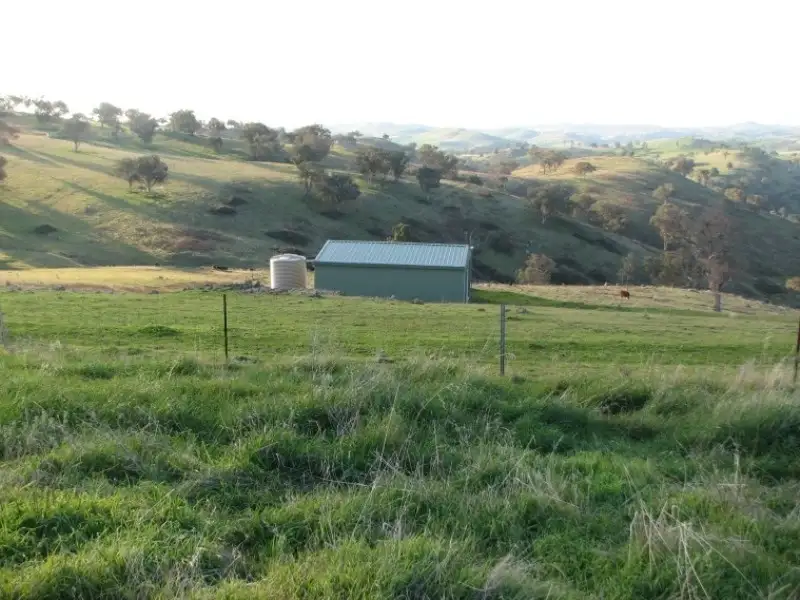 Main view of Homely rural property listing, Lot 47 Yarrawarrah Road, Canowindra NSW 2804