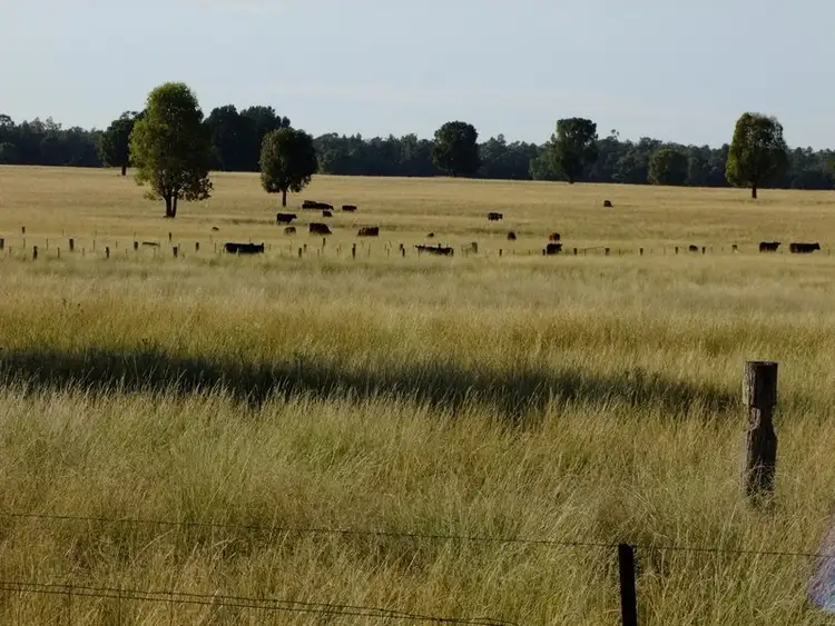 Seventh view of Homely rural property listing, " Euligal", Baradine NSW 2396