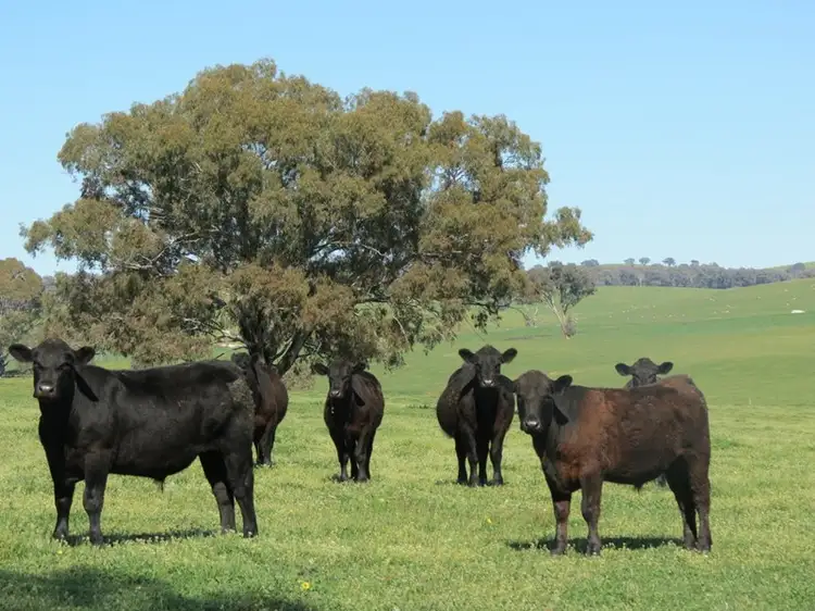 "Kilgowlah" Hume Highway, Tarcutta NSW 2652