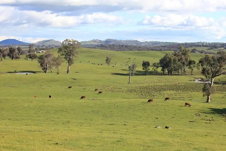 Seventh view of Homely rural property listing, Rosalie Hume Highway, Tarcutta NSW 2652