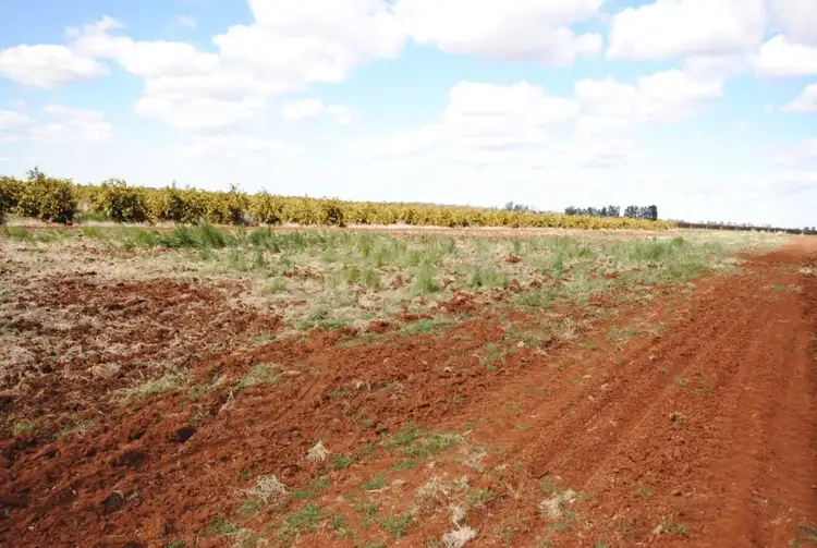 Seventh view of Homely rural property listing, Farm 1307 Kidman Way, Tharbogang NSW 2680