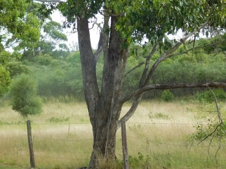 Fifth view of Homely land listing, Lot 4 Smith Street, Yarraman QLD 4614