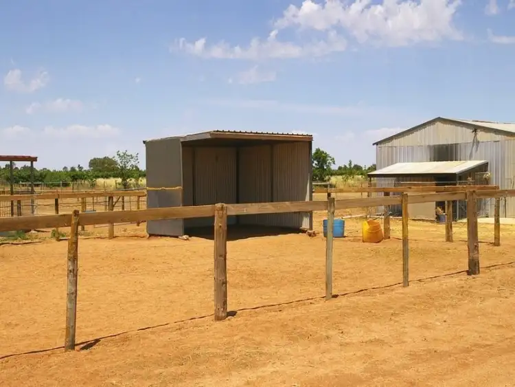 Sixth view of Homely house listing, 74 Arumpo Street, Renmark SA 5341