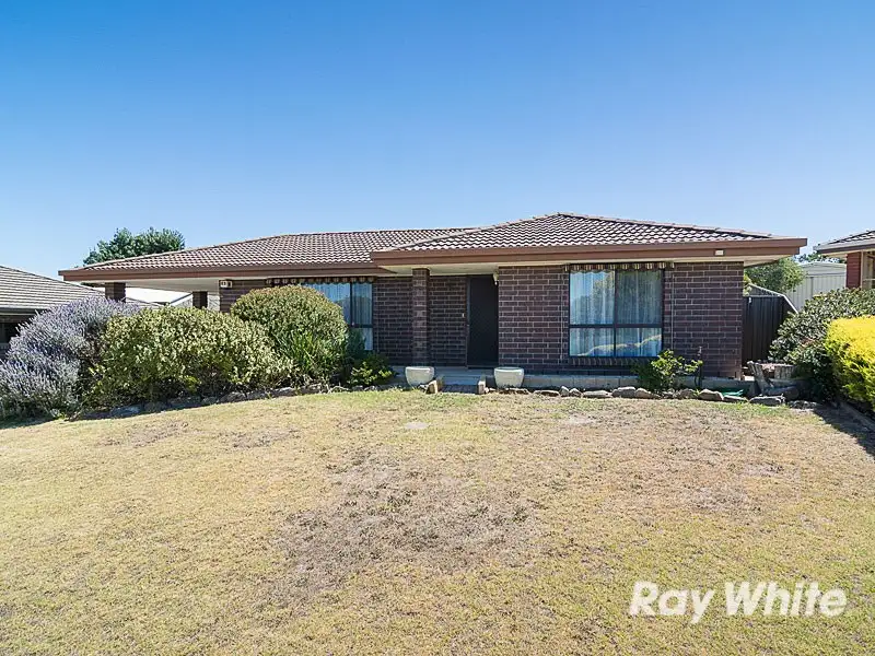 Main view of Homely house listing, 61 Ray Orr Drive, Mount Barker SA 5251