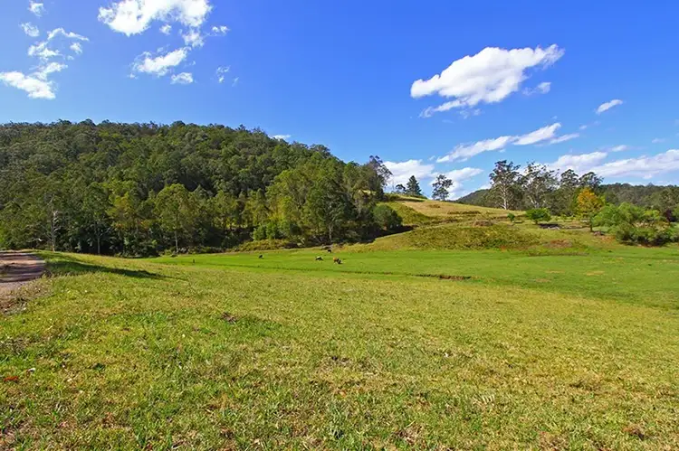 Third view of Homely rural property listing, 10 Priests Ridge Road, Yarramalong NSW 2259