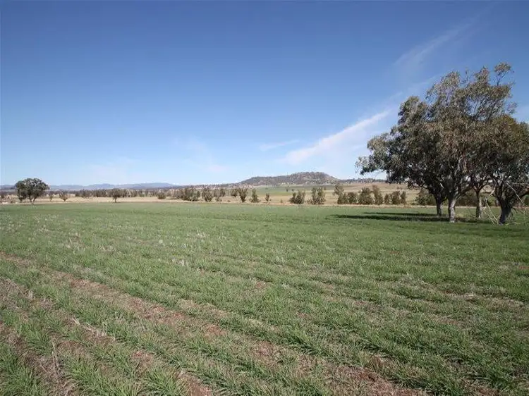 Main view of Homely rural property listing, 276 Spains Lane, Quirindi NSW 2343