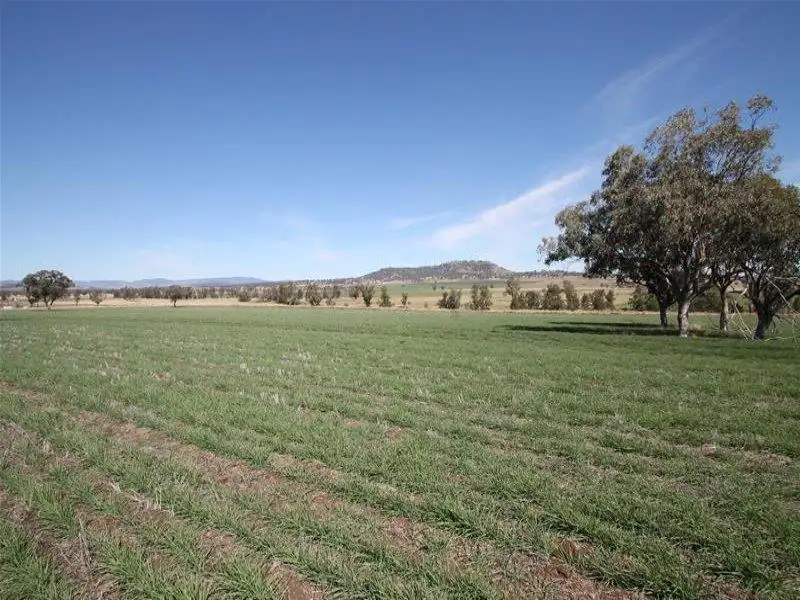 Main view of Homely rural property listing, 276 Spains Lane, Quirindi NSW 2343