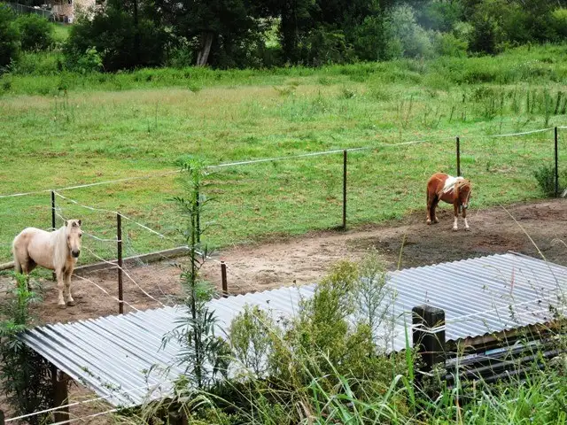 Third view of Homely rural property listing, 21-27 Hanlan Street South, Narara NSW 2250