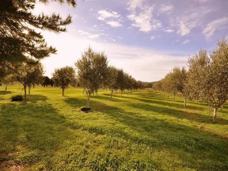Seventh view of Homely rural property listing, 53 Hudswell Road, Landsborough VIC 3384