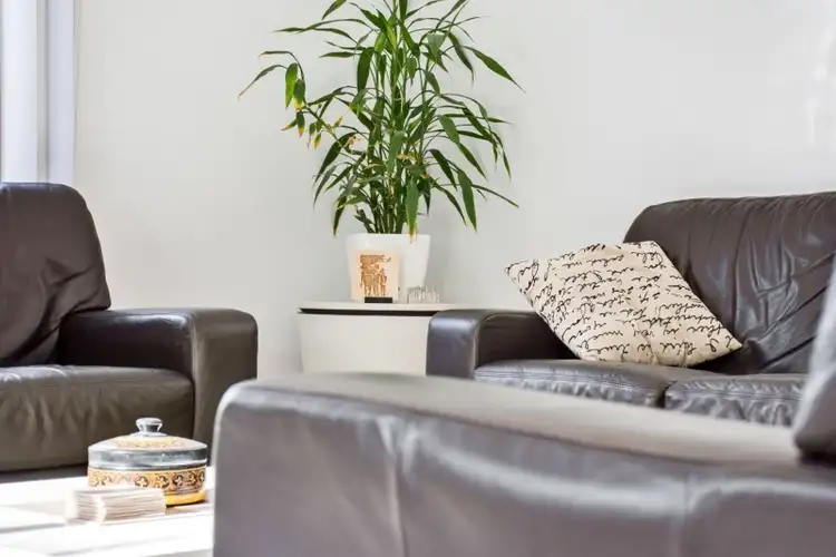 Sixth view of Homely house listing, 1C Madeline Crescent, Fulham Gardens SA 5024