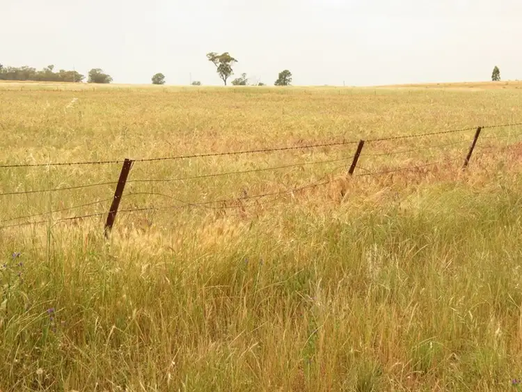 Sixth view of Homely rural property listing, "Hillview" Goldfields Way, Temora NSW 2666